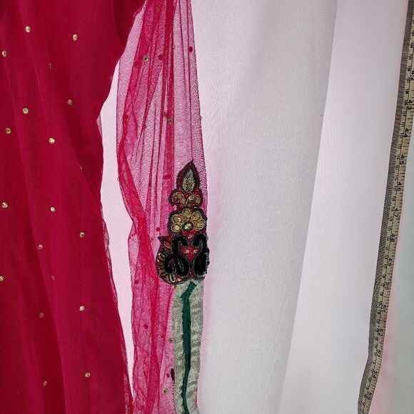 East Indian/Punjabi dress   - Picture 3 of 9